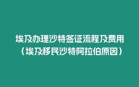 埃及辦理沙特簽證流程及費用（埃及移民沙特阿拉伯原因）