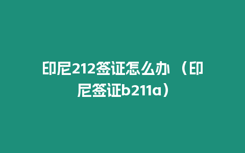 印尼212簽證怎么辦 （印尼簽證b211a）