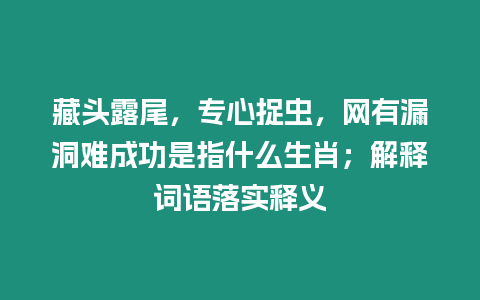 藏頭露尾，專心捉蟲，網有漏洞難成功是指什么生肖；解釋詞語落實釋義