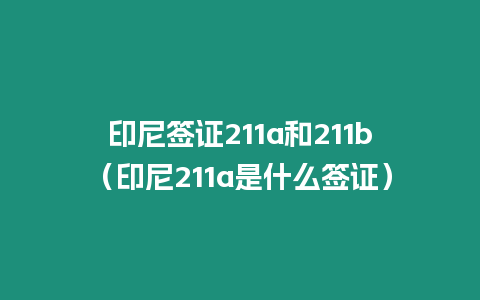 印尼簽證211a和211b（印尼211a是什么簽證）