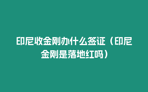 印尼收金剛辦什么簽證（印尼金剛是落地紅嗎）