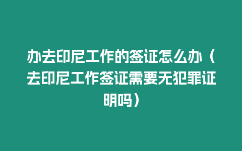 辦去印尼工作的簽證怎么辦（去印尼工作簽證需要無犯罪證明嗎）