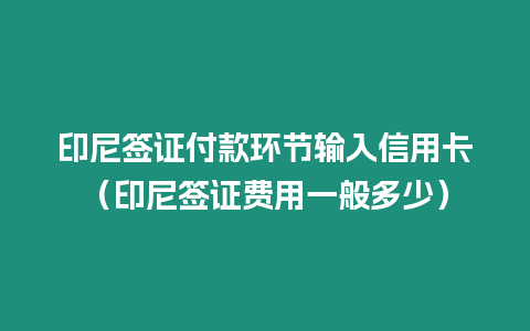 印尼簽證付款環(huán)節(jié)輸入信用卡（印尼簽證費(fèi)用一般多少）