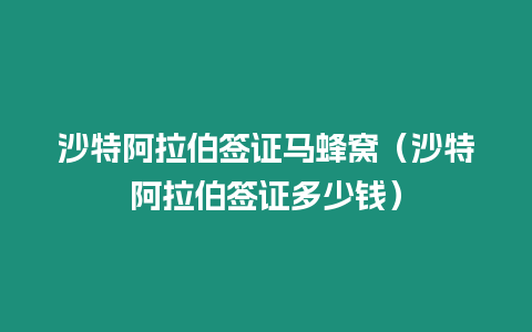 沙特阿拉伯簽證馬蜂窩（沙特阿拉伯簽證多少錢(qián)）