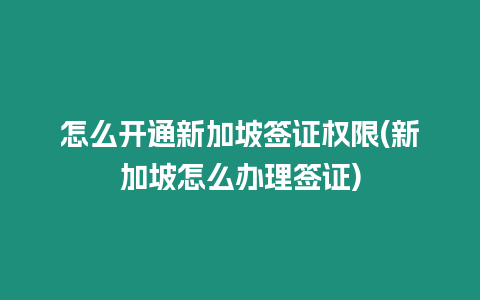 怎么開通新加坡簽證權限(新加坡怎么辦理簽證)