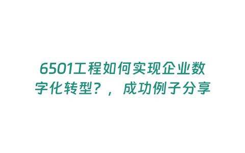 6501工程如何實(shí)現(xiàn)企業(yè)數(shù)字化轉(zhuǎn)型？，成功例子分享