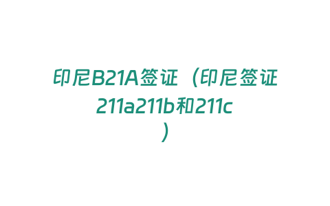 印尼B21A簽證（印尼簽證211a211b和211c）