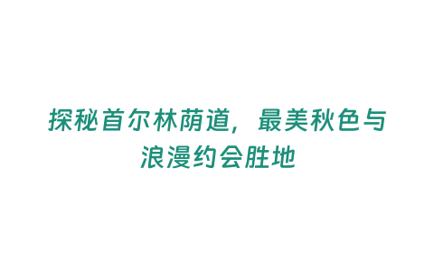 探秘首爾林蔭道，最美秋色與浪漫約會勝地