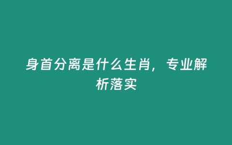 身首分離是什么生肖，專業解析落實