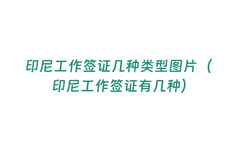 印尼工作簽證幾種類型圖片（印尼工作簽證有幾種）