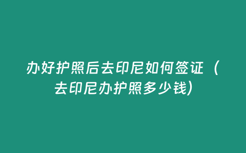 辦好護照后去印尼如何簽證（去印尼辦護照多少錢）