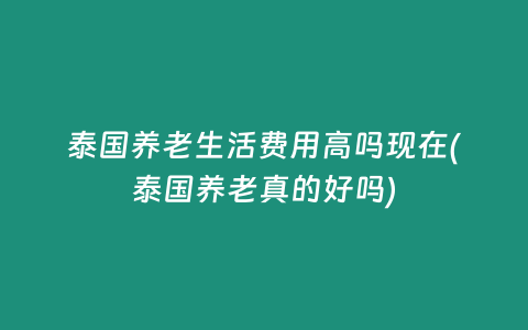 泰國養老生活費用高嗎現在(泰國養老真的好嗎)