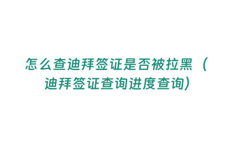 怎么查迪拜簽證是否被拉黑（迪拜簽證查詢進度查詢）