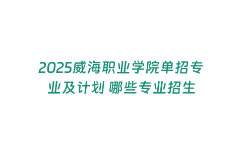 2025威海職業(yè)學(xué)院單招專業(yè)及計(jì)劃 哪些專業(yè)招生