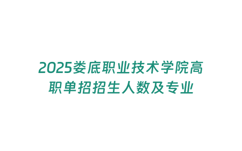 2025婁底職業(yè)技術(shù)學(xué)院高職單招招生人數(shù)及專業(yè)