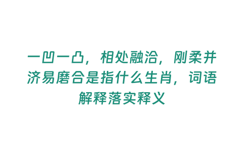 一凹一凸，相處融洽，剛?cè)岵?jì)易磨合是指什么生肖，詞語解釋落實(shí)釋義