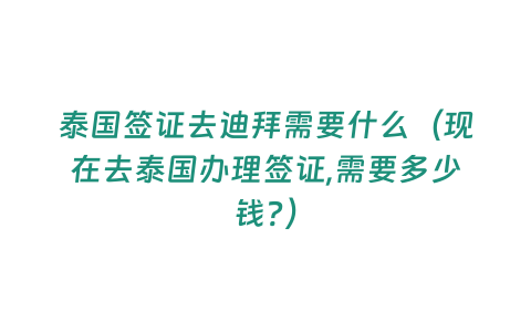 泰國簽證去迪拜需要什么（現在去泰國辦理簽證,需要多少錢?）