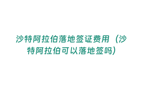 沙特阿拉伯落地簽證費用（沙特阿拉伯可以落地簽嗎）