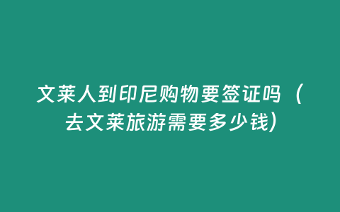 文萊人到印尼購物要簽證嗎（去文萊旅游需要多少錢）