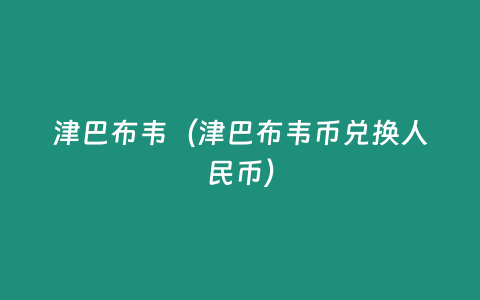 津巴布韋（津巴布韋幣兌換人民幣）