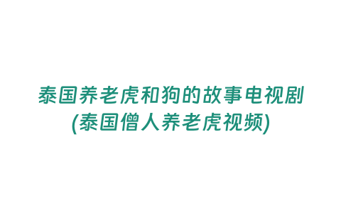 泰國養老虎和狗的故事電視劇(泰國僧人養老虎視頻)