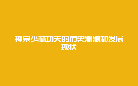 禪宗少林功夫的歷史淵源和發展現狀