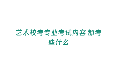 藝術校考專業考試內容 都考些什么