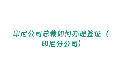 印尼公司總裁如何辦理簽證（印尼分公司）