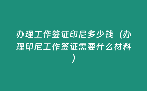 辦理工作簽證印尼多少錢（辦理印尼工作簽證需要什么材料）