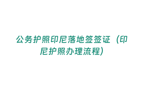 公務護照印尼落地簽簽證（印尼護照辦理流程）