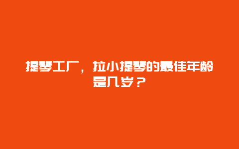 提琴工廠，拉小提琴的最佳年齡是幾歲？