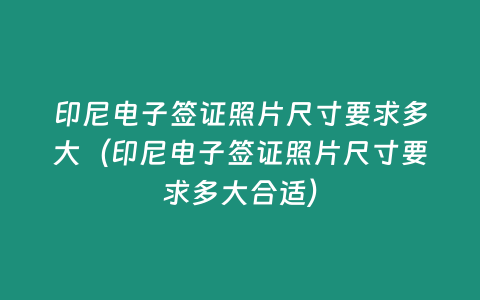 印尼電子簽證照片尺寸要求多大（印尼電子簽證照片尺寸要求多大合適）