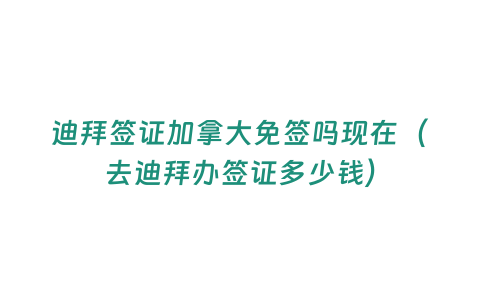 迪拜簽證加拿大免簽嗎現在（去迪拜辦簽證多少錢）