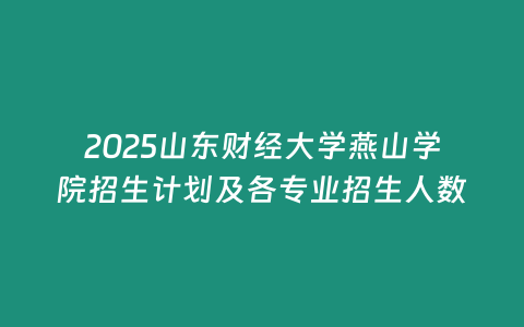 2025山東財經大學燕山學院招生計劃及各專業招生人數