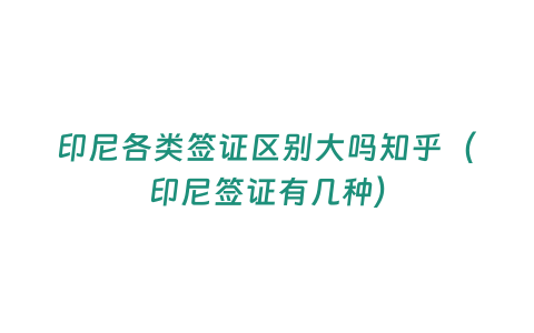 印尼各類簽證區(qū)別大嗎知乎（印尼簽證有幾種）