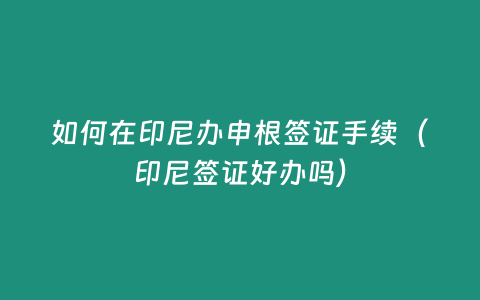 如何在印尼辦申根簽證手續(xù)（印尼簽證好辦嗎）