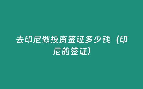 去印尼做投資簽證多少錢（印尼的簽證）