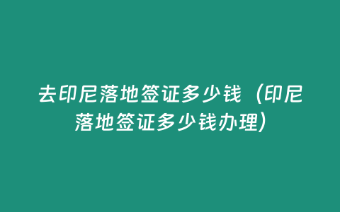 去印尼落地簽證多少錢（印尼落地簽證多少錢辦理）