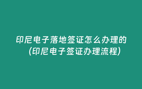 印尼電子落地簽證怎么辦理的 （印尼電子簽證辦理流程）