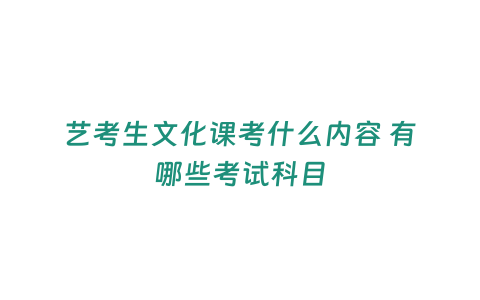 藝考生文化課考什么內(nèi)容 有哪些考試科目